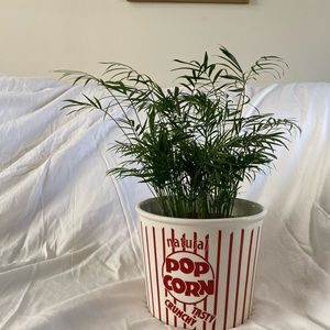 Cute popcorn pot